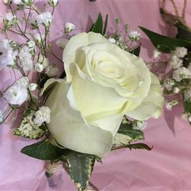 fwthumbIMG_3493 (Edited).jpg